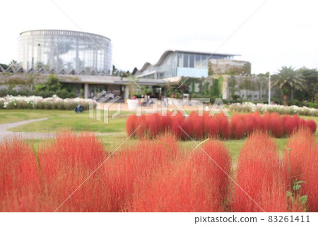 Red bonbon this year too 83261411