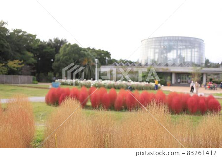 Red bonbon this year too 83261412