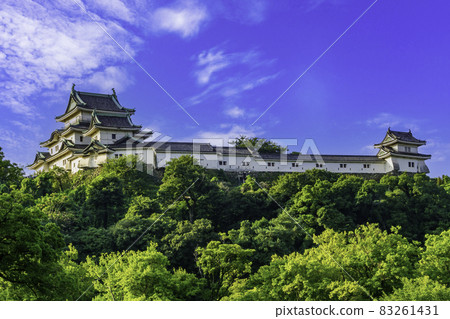 和歌山縣和歌山市和歌山城城堡塔 83261431