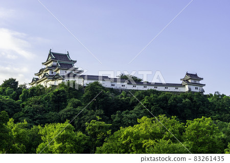 Wakayama Castle Castle Tower Wakayama City, Wakayama Prefecture 83261435