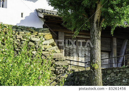 和歌山縣和歌山市和歌山城二門楠木 和歌山縣和歌山市和歌山城二門楠木 83261456