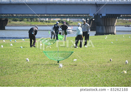 Elderly people enjoying target bird golf Elderly people enjoying target bird golf 83262188