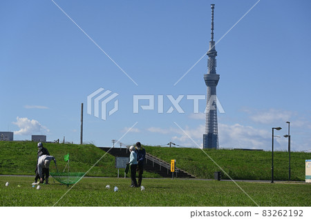 享受目標鳥高爾夫球的老年人 享受目標鳥高爾夫球的老年人 83262192