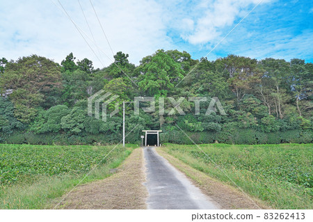 【鹿見畑堂神社】三重縣松阪市井口內町 【鹿見畑堂神社】三重縣松阪市井口內町 83262413