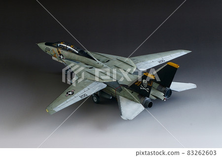 Grumman F-14A Tomcat Plastic Model 1/48 scale Diagonal back 83262603