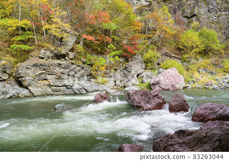 Autumn leaves of Akaiwa Aoikyo Gorge in full bloom (Shimukappu, Hokkaido) 83263044