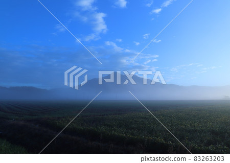 筑波山腳下的秋果 筑波山腳下的秋果 83263203