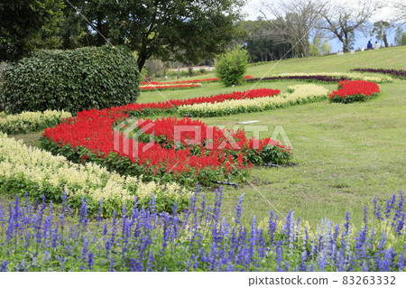 盛開秋花的鮮味山公園宇宙 83263332