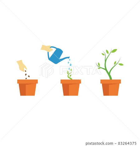 Plant life process 83264375