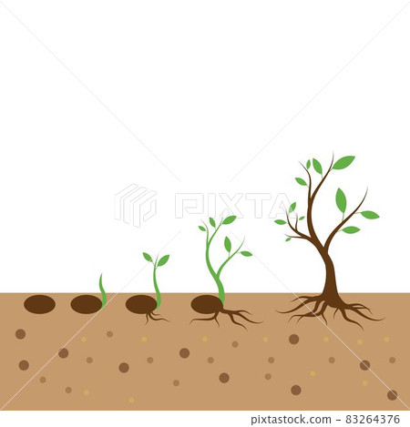 Plant life process 83264376