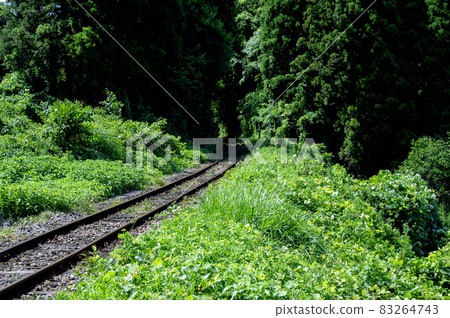 Summer Boso Peninsula Isumi Railway 83264743