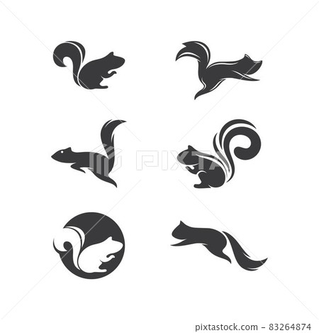 Squirrel 83264874