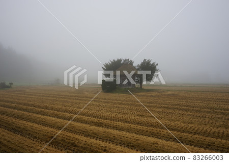 Original scenery of Japan Aragami Shrine on the day when the sea of clouds came out Original scenery of Japan Aragami Shrine on the day when the sea of clouds came out 83266003