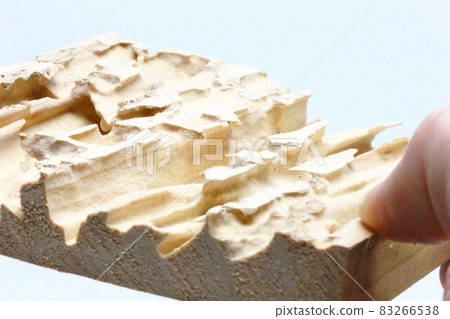 Cross section of house wood damaged by termites. Termite feeding damage Cross section of house wood damaged by termites. Termite feeding damage 83266538