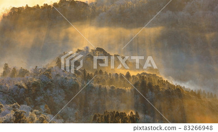 晨霧中的早晨 83266948