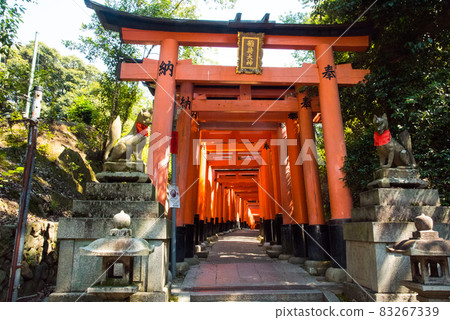 《Kyoto City》 Fushimi Inari Taisha Shrine 《Kyoto City》 Fushimi Inari Taisha Shrine 83267339