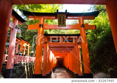 《Kyoto City》 Fushimi Inari Taisha Shrine 83267495