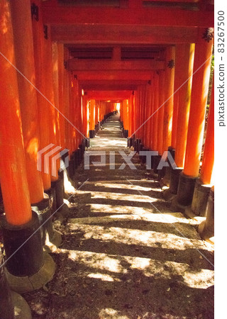 《Kyoto City》 Fushimi Inari Taisha Shrine 《Kyoto City》 Fushimi Inari Taisha Shrine 83267500