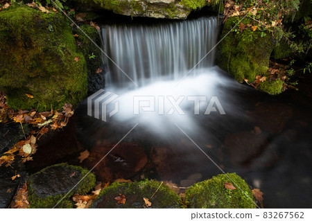 [Higashikawa-cho, Hokkaido] Daisetsuzan Gensui October 83267562