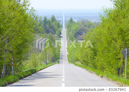 Green forest and an eternal straight road 83267941