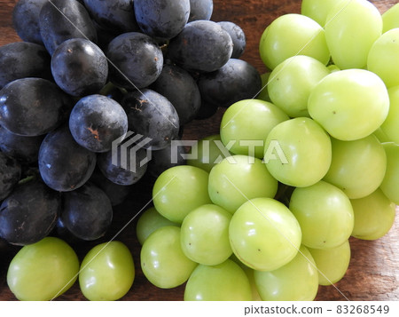 閃耀馬斯喀特 83268549