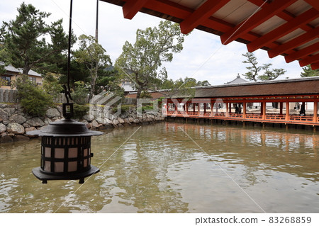 嚴島神社的燈籠 嚴島神社的燈籠 83268859