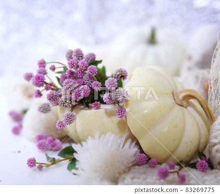 Fashionable Halloween and pink knotweed decoration * Horizontal rectangular composition Fashionable Halloween and pink knotweed decoration * Horizontal rectangular composition 83269775