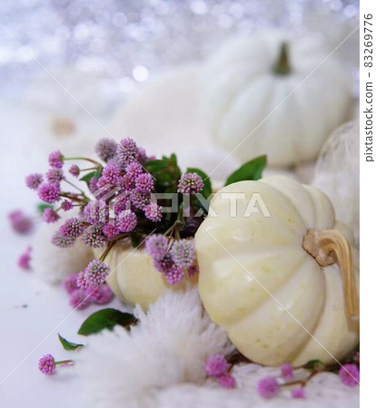 Fashionable Halloween and pink knotweed decoration * Vertical rectangular composition Fashionable Halloween and pink knotweed decoration * Vertical rectangular composition 83269776