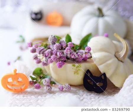 時尚的萬聖節和粉紅色虎杖裝飾 * 水平矩形組合 時尚的萬聖節和粉紅色虎杖裝飾 * 水平矩形組合 83269790