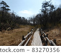 A walk 83270356