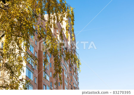 yellow leaves and high-rise apartment house 83270395