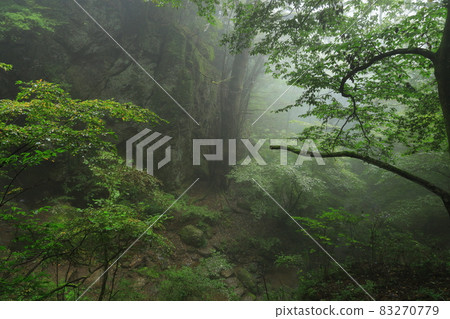 << Ome City, Tokyo >> Mt. Mitake Rock Garden 83270779