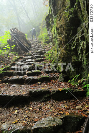<< Ome City, Tokyo >> Mt. Mitake Rock Garden << Ome City, Tokyo >> Mt. Mitake Rock Garden 83270780