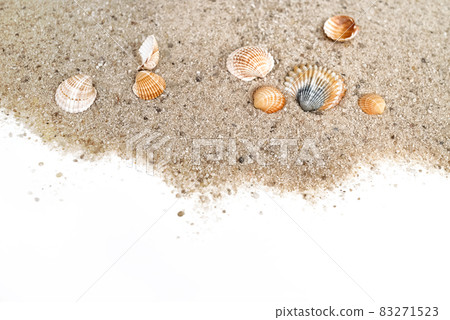 Ribbed sea shells scatter on sand surface with copy space 83271523