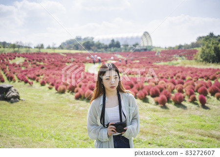 Camera girls taking pictures in a park where Kokia is beautiful Camera girls taking pictures in a park where Kokia is beautiful 83272607