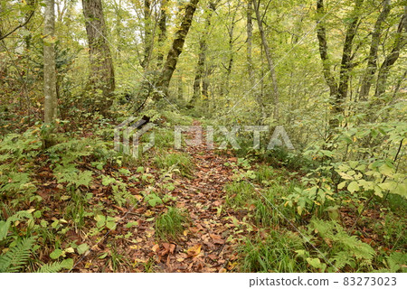 Otaki of Mt. Iide 83273023