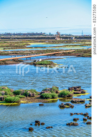 Bolsa Chica Nature Reserve with birds perched on pipe over the wetland water 83273580