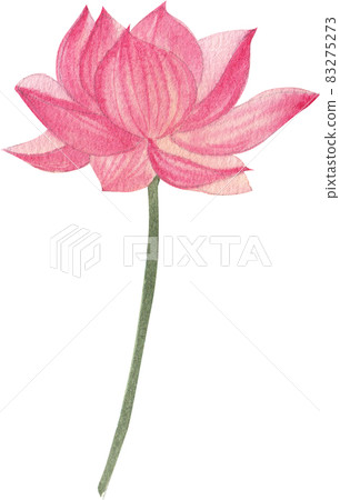 pink lotus flower and leave clipart watercolor 83275273