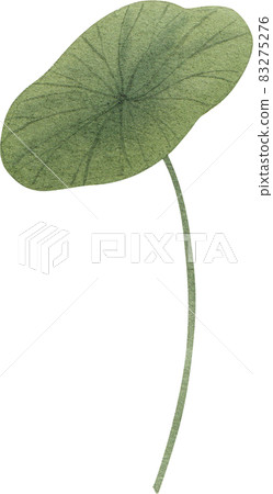 Green lotus leave clipart watercolor Green lotus leave clipart watercolor 83275276