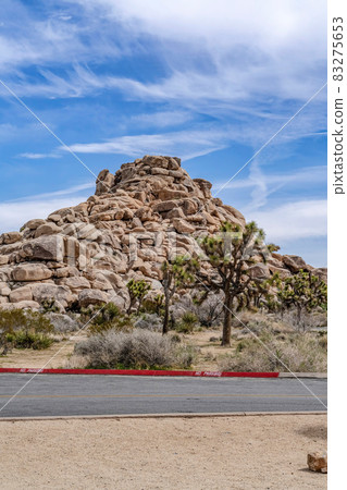 Joshua trees and amazing mountain of rocks in Joshua Tree California desert Joshua trees and amazing mountain of rocks in Joshua Tree California desert 83275653