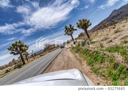 Vehicles on road along Joshua Tree California with Joshua trees and mountain Vehicles on road along Joshua Tree California with Joshua trees and mountain 83275685