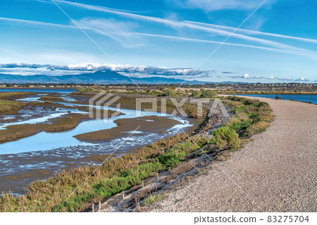 Dirt path amid wetlands and coastal dunes in scenic Bolsa Chica Nature Reserve 83275704