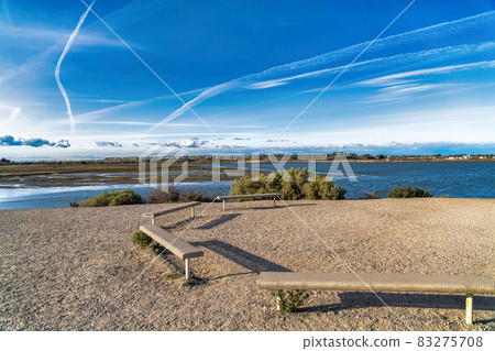 Wood benches with panoramic view of Bolsa Chica Nature Reserve Huntington Beach 83275708