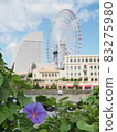 Minatomirai Asagao（2009 年 10 月拍攝） 83275980