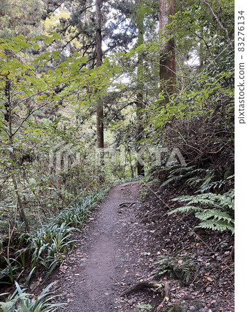 A path in the mountains　 83276134