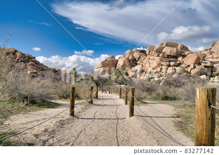 Hiking trail with scenic nature views at Joshua Tree National Park California 83277142