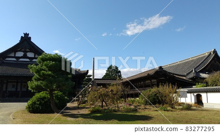 姬路_龜山本德寺 姬路_龜山本德寺 83277295