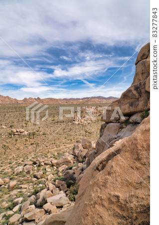 Mountain of rocks and vast arid desert landscape with Joshua tree plants 83277843