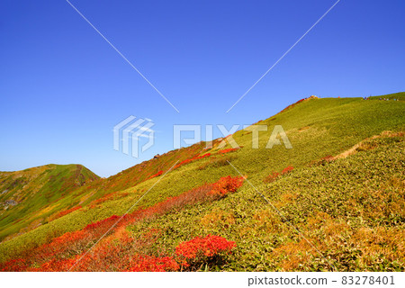 Blue sky and autumn leaves, Mt. Tanigawa 83278401
