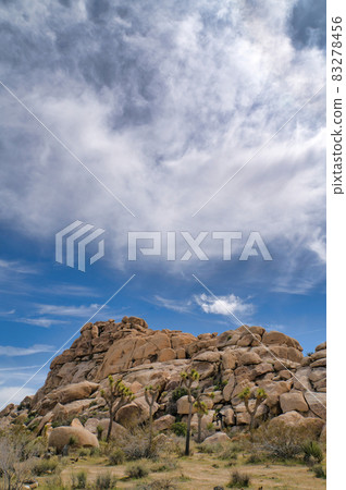 Mountain of huge rocks and Joshua tree plants at Joshua Tree National Park Mountain of huge rocks and Joshua tree plants at Joshua Tree National Park 83278456